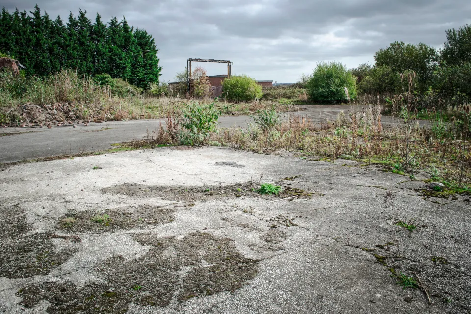 Vacant lot with overgrown concrete foundation